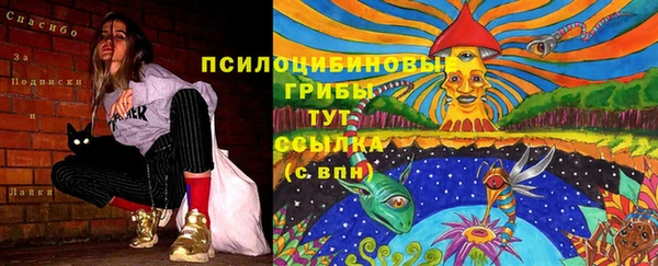 гидропоника Алзамай
