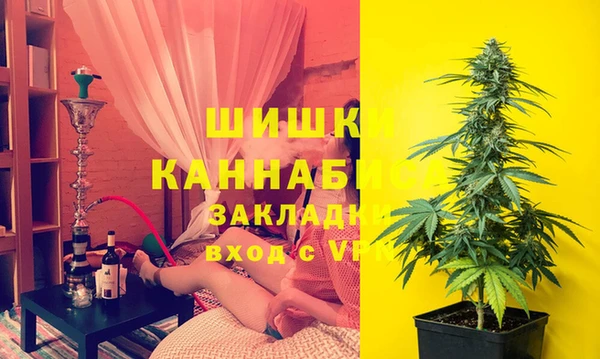 гидропоника Алзамай