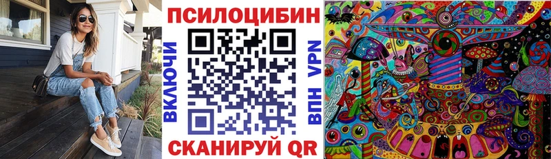 дарнет шоп  Рубцовск  Псилоцибиновые грибы GOLDEN TEACHER 